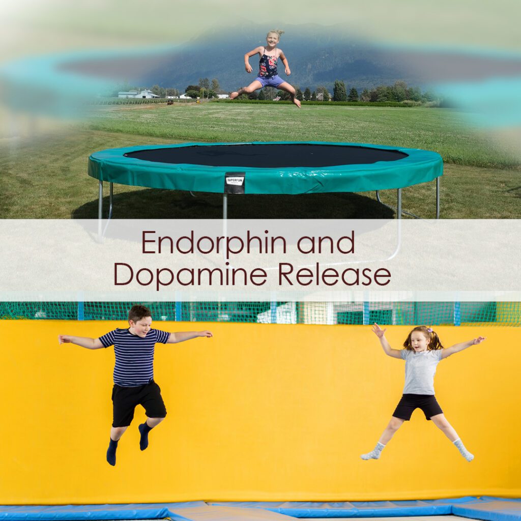 Endorphin and Dopamine Release