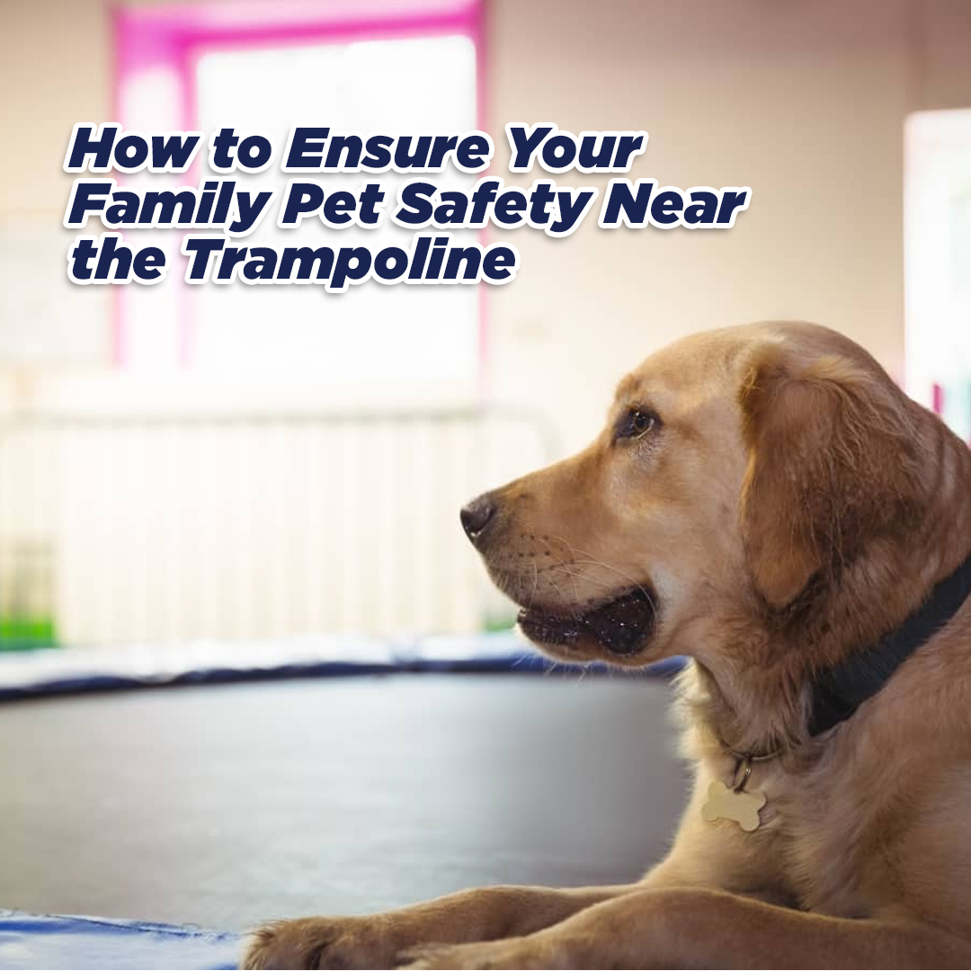 Pet Safety from Trampoline - Trampoline - supertramp.co.uk