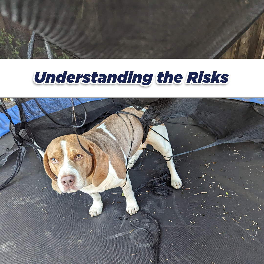 Dog Stuck in Trampoline Enclosure Net - Above Ground Trampoline - supertramp.co.uk