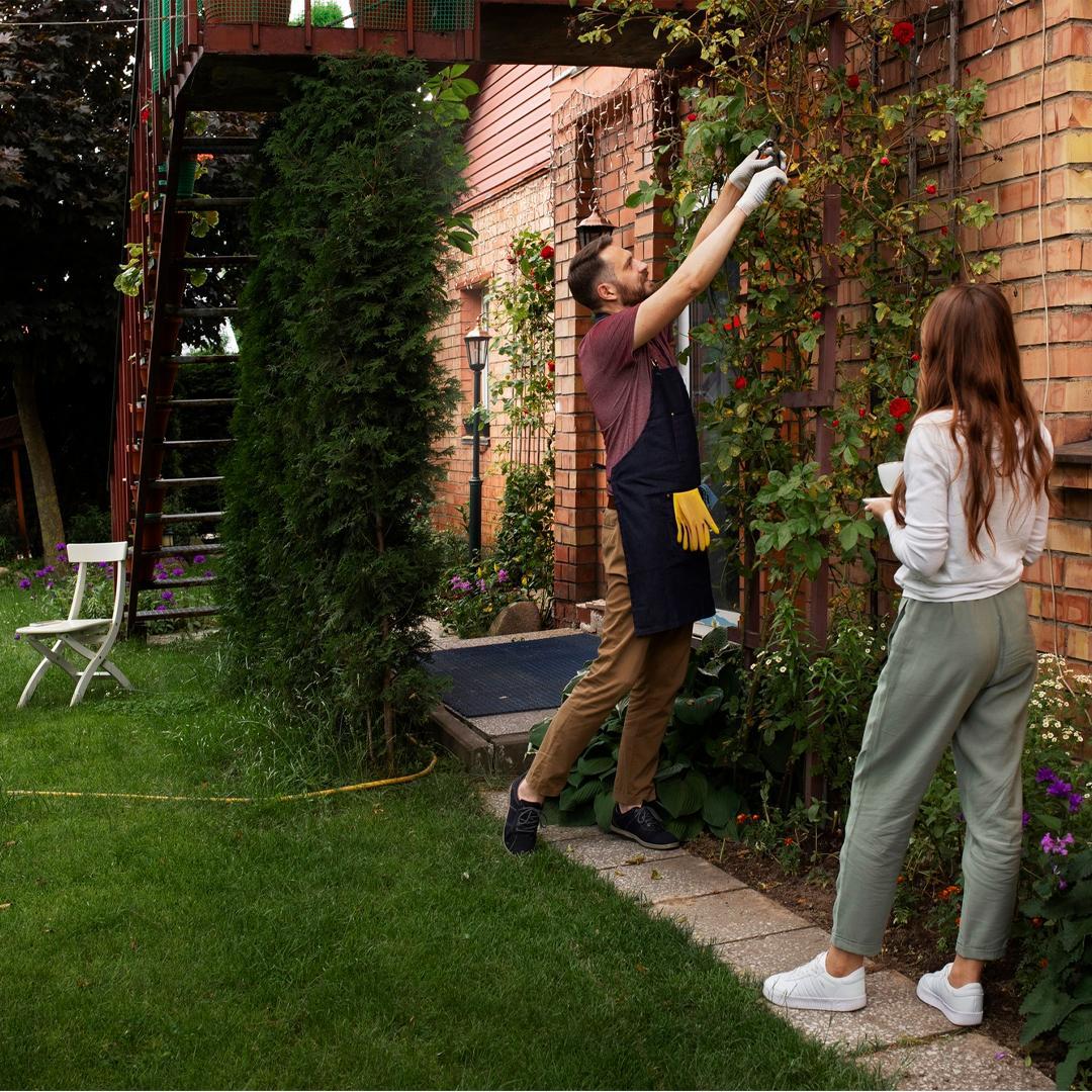 Inspiring Contemporary Garden Design Ideas to Refresh Your Backyard