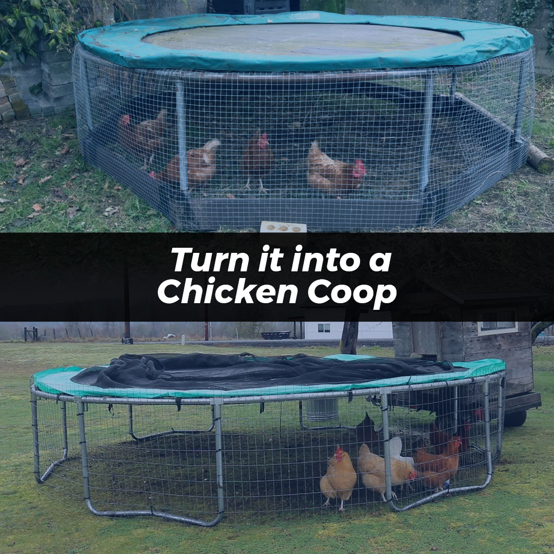 Trampoline Frame & Enclosures Converted into Chicken Coop - Super Tramp Trampolines