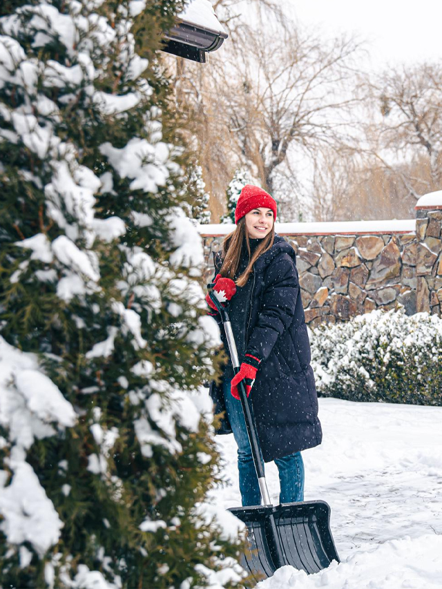 How to Create a Stylish Garden in Winter