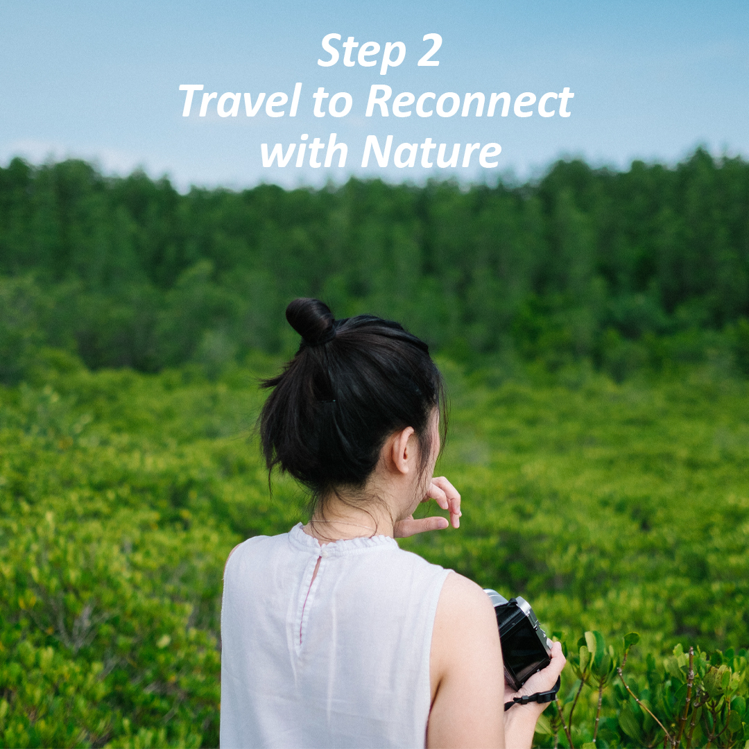 Travel to Reconnect with Nature - supertramp.co.uk