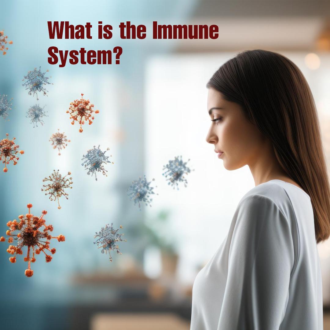 What is the Immune System?