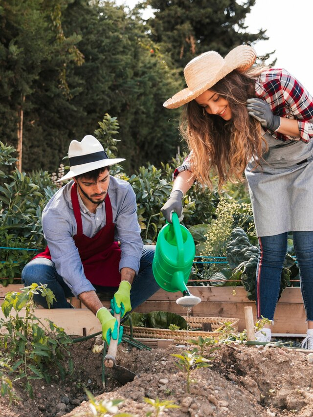 5 Tips for Creating a Contemporary Garden