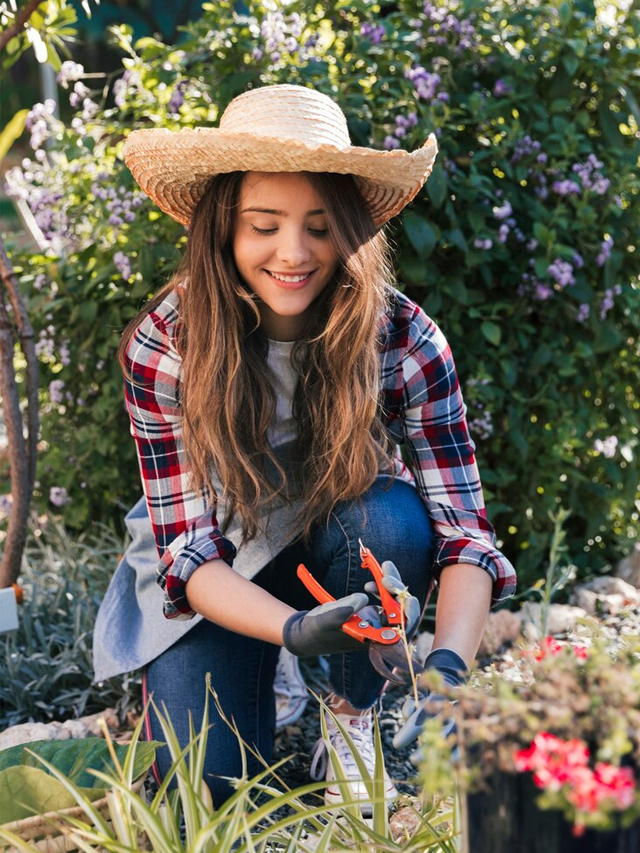 5 Essential Investments for Your Garden This Spring