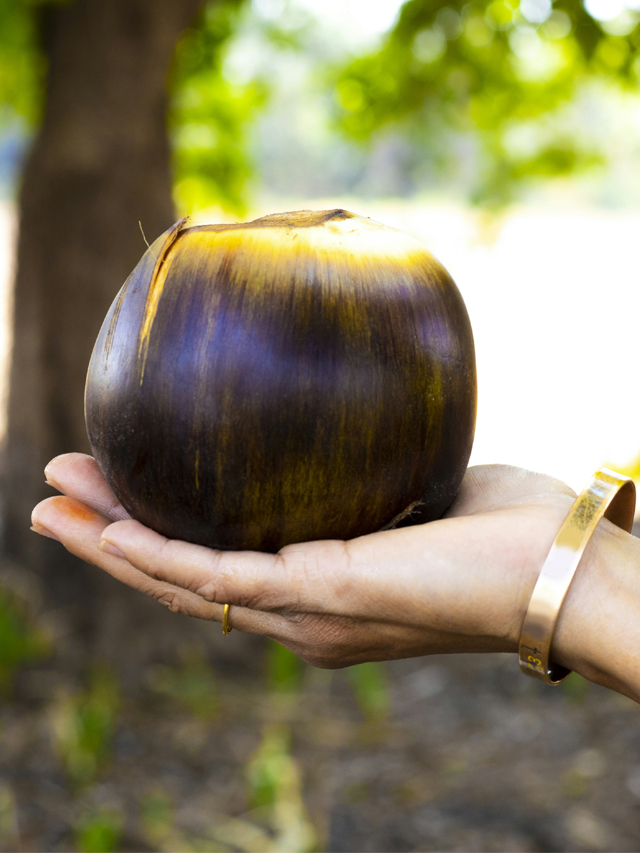 Healthy Benefits of Having Ice Apple Daily