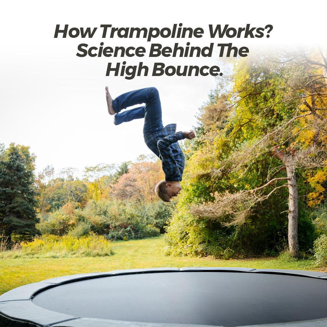 How Trampoline Works? Science Behind the High Bounce