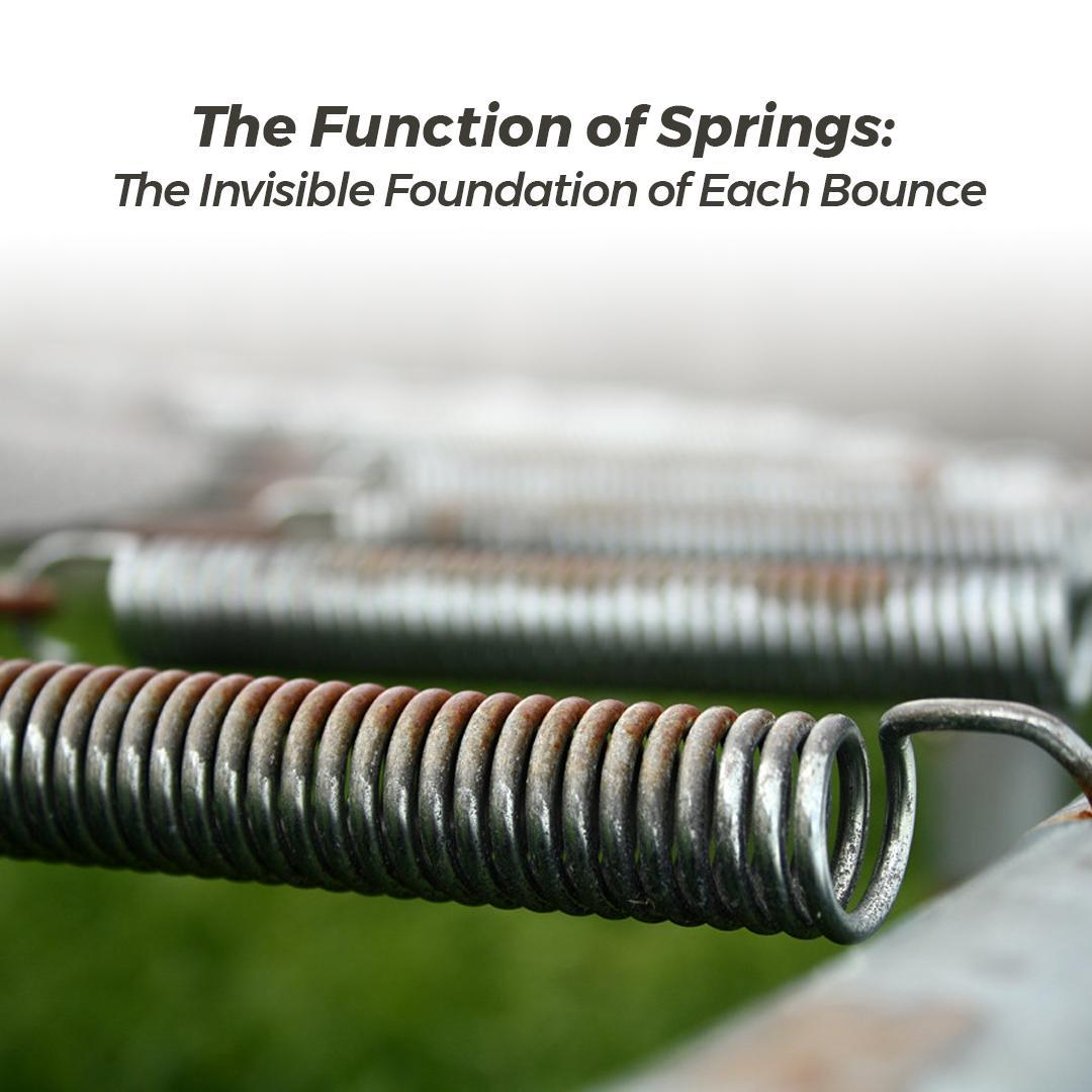 The Function of Springs