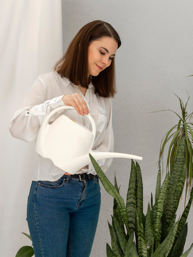 Indoor Plants That Instantly Elevate Your Home Vibe