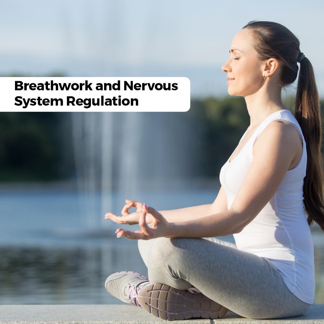 Breathwork and Nervous System Regulation