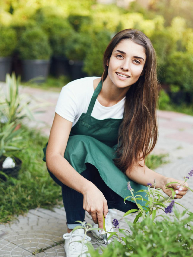 6 Easy-to-Make Ideas to Beautify Your Garden