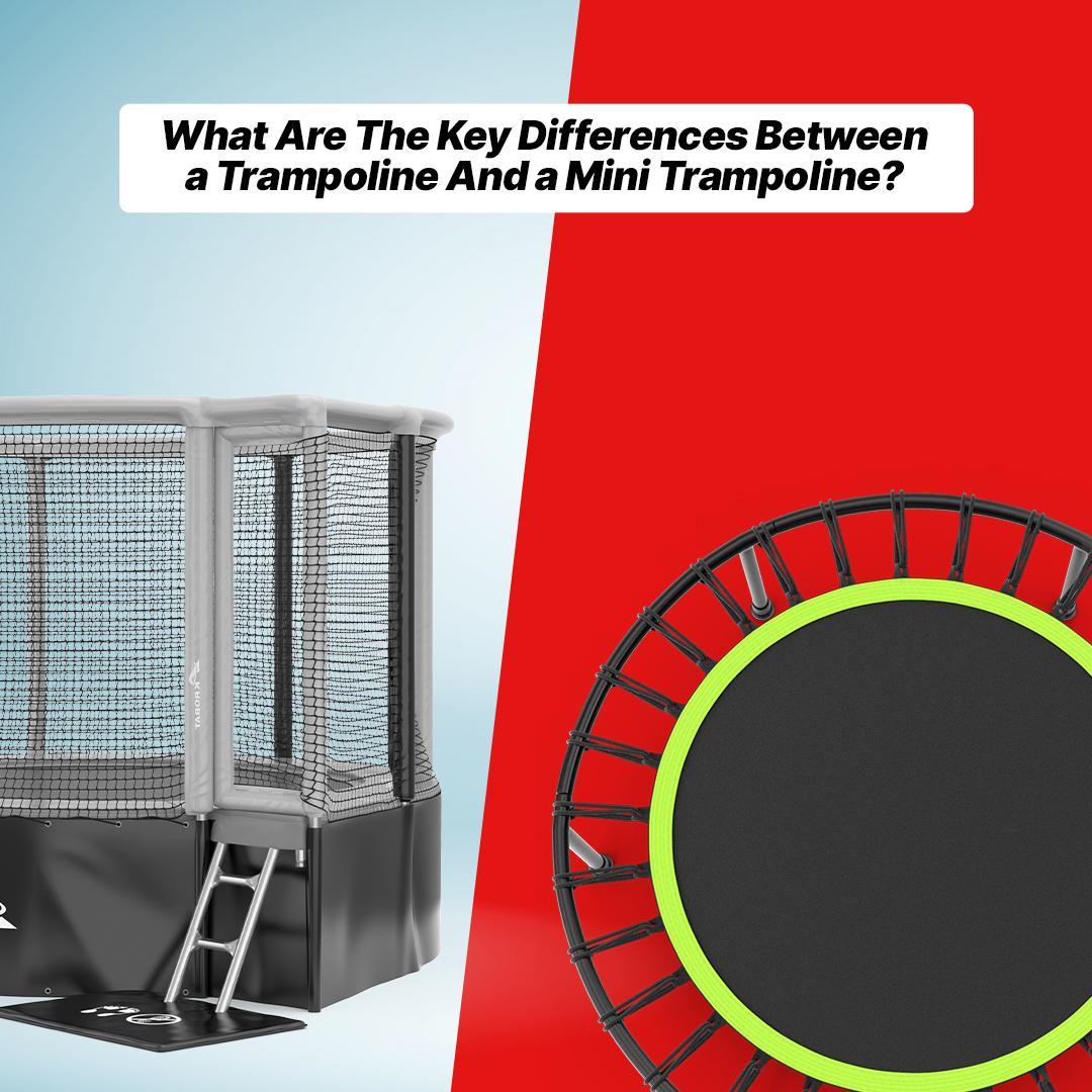What Are the Key Differences Between a Trampoline and a Mini Trampoline?
