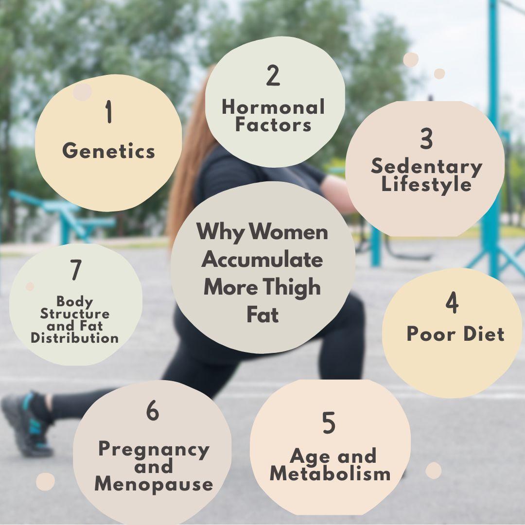 Why Women Accumulate More Thigh Fat