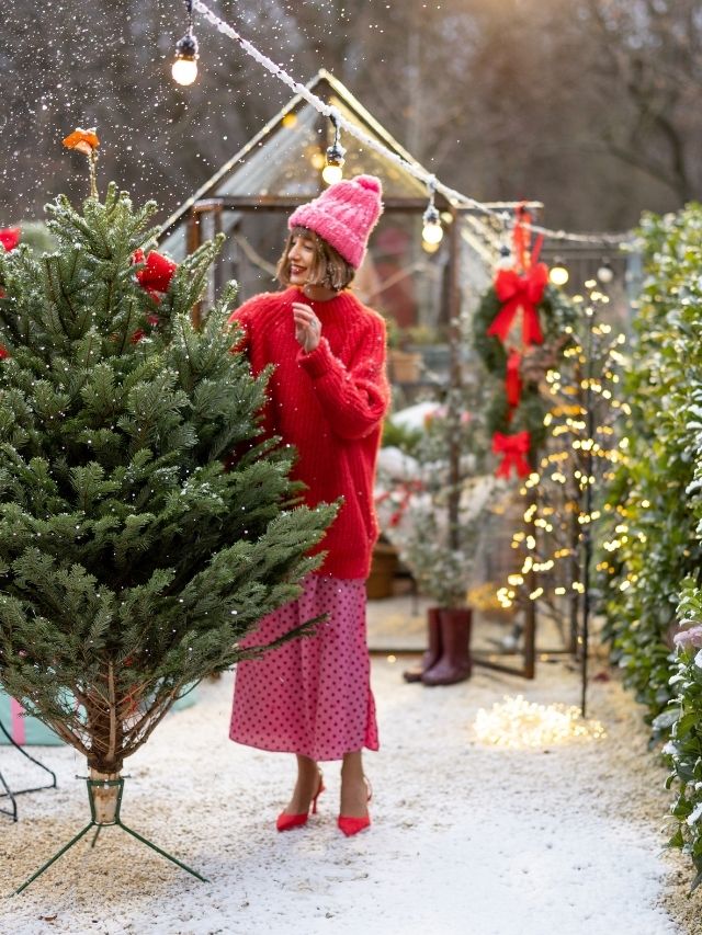 Most Magical Christmas Garden Decor Ideas