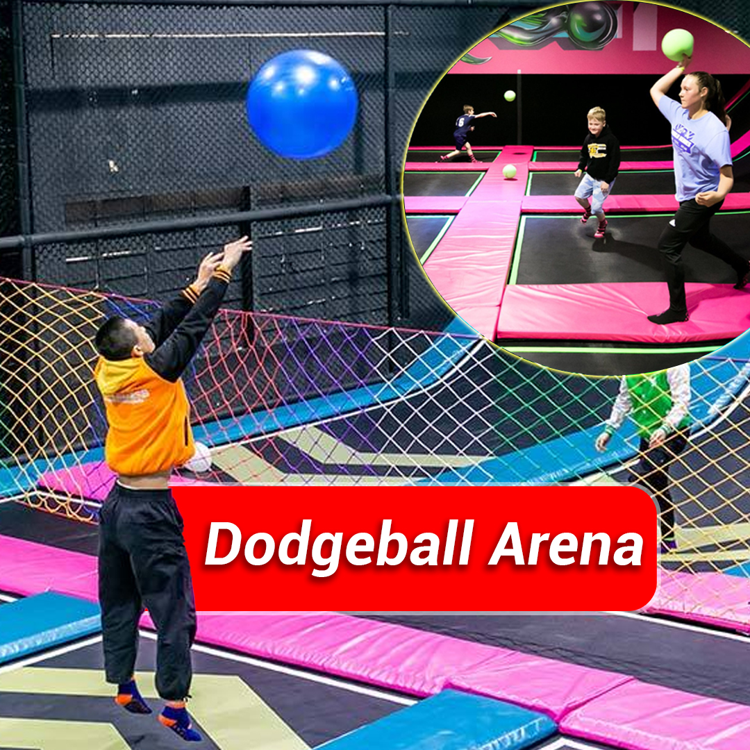Dodgeball Arena