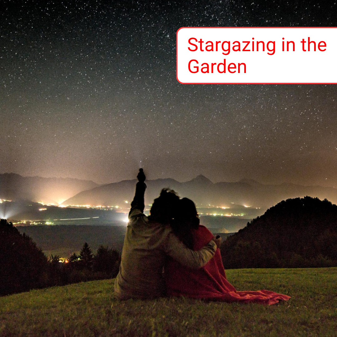 Stargazing in the Garden