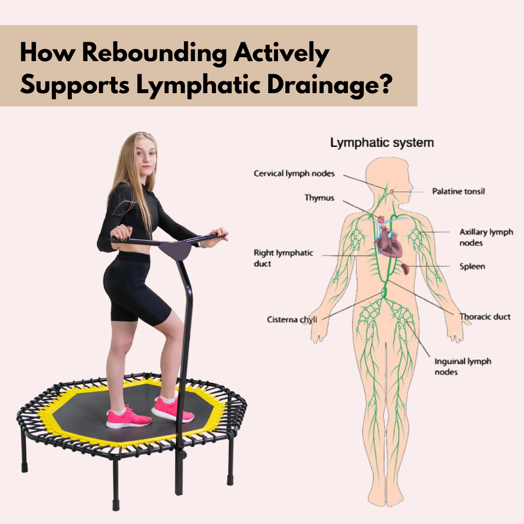 rebounding for lymphatic drainage