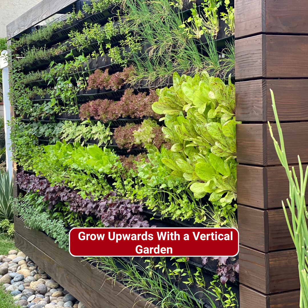 Grow Upwards With a Vertical Garden
