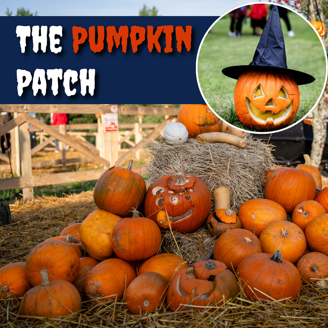 The Pumpkin Patch